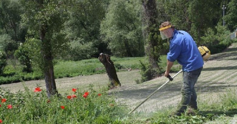 Bando pubblico per la sistemazione pulitura e creazione di fasce parafuoco