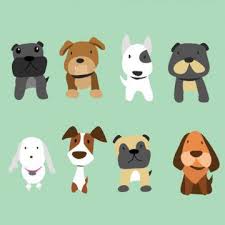 anagrafe canina 2020