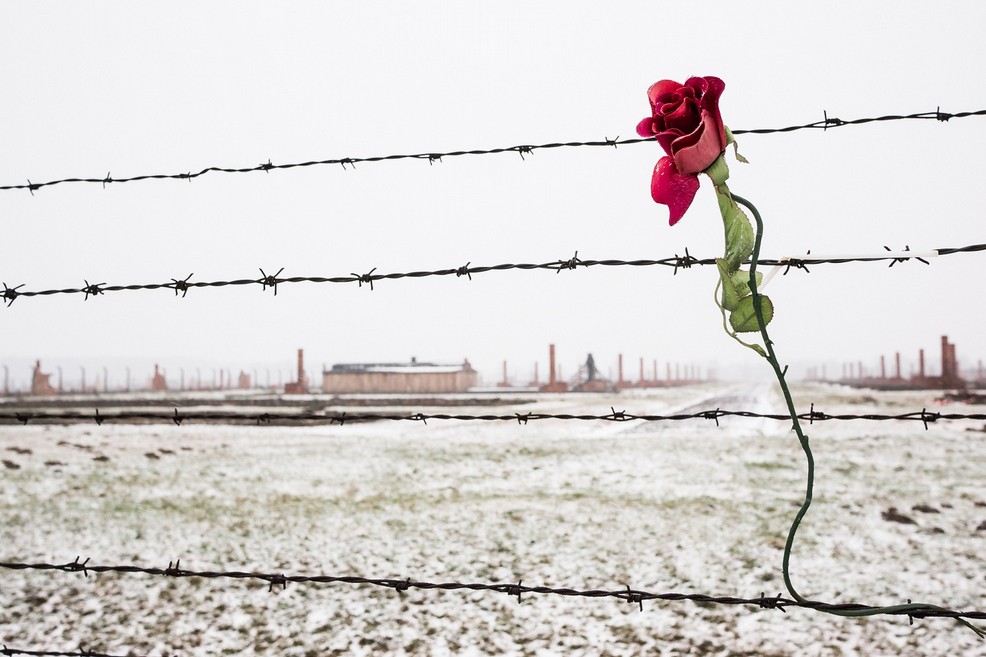 Giornata della Memoria